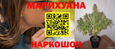 каннабис Будённовск