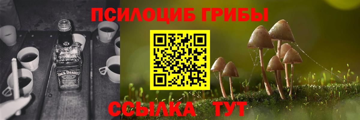 Псилоцибиновые грибы Magic Shrooms Нальчик